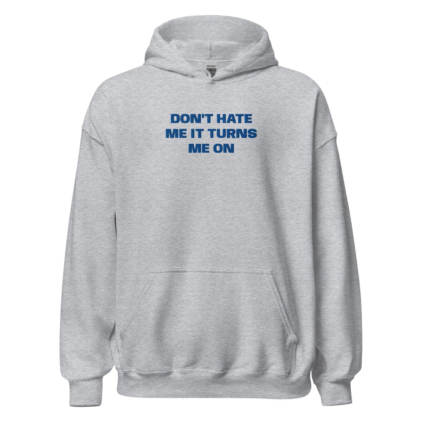 Don't Hate Me It Turns Me On - Grey Hoodie - SLUTees